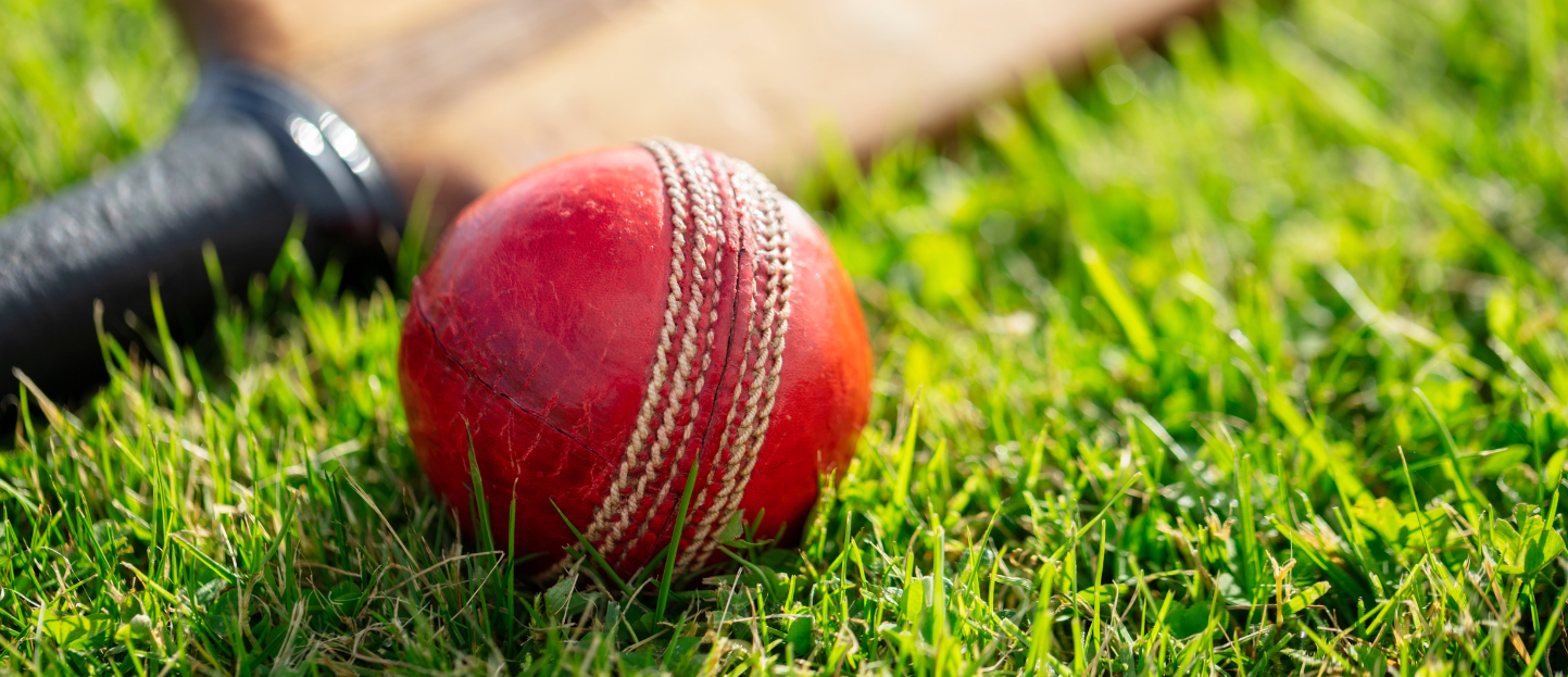 Annual Cricket Fundraiser – Master Builders Act