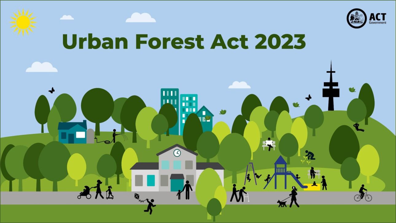 Tree Protection Law Changes In The ACT Master Builders ACT tree-protection-law-changes-in-the-act-master-builders-act
